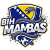 Soccer Logo